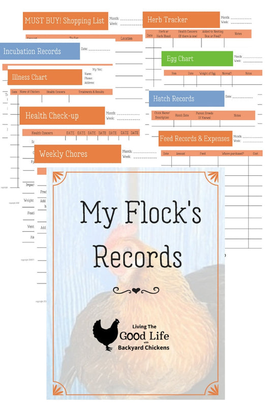 Backyard Chicken Care Record Kit