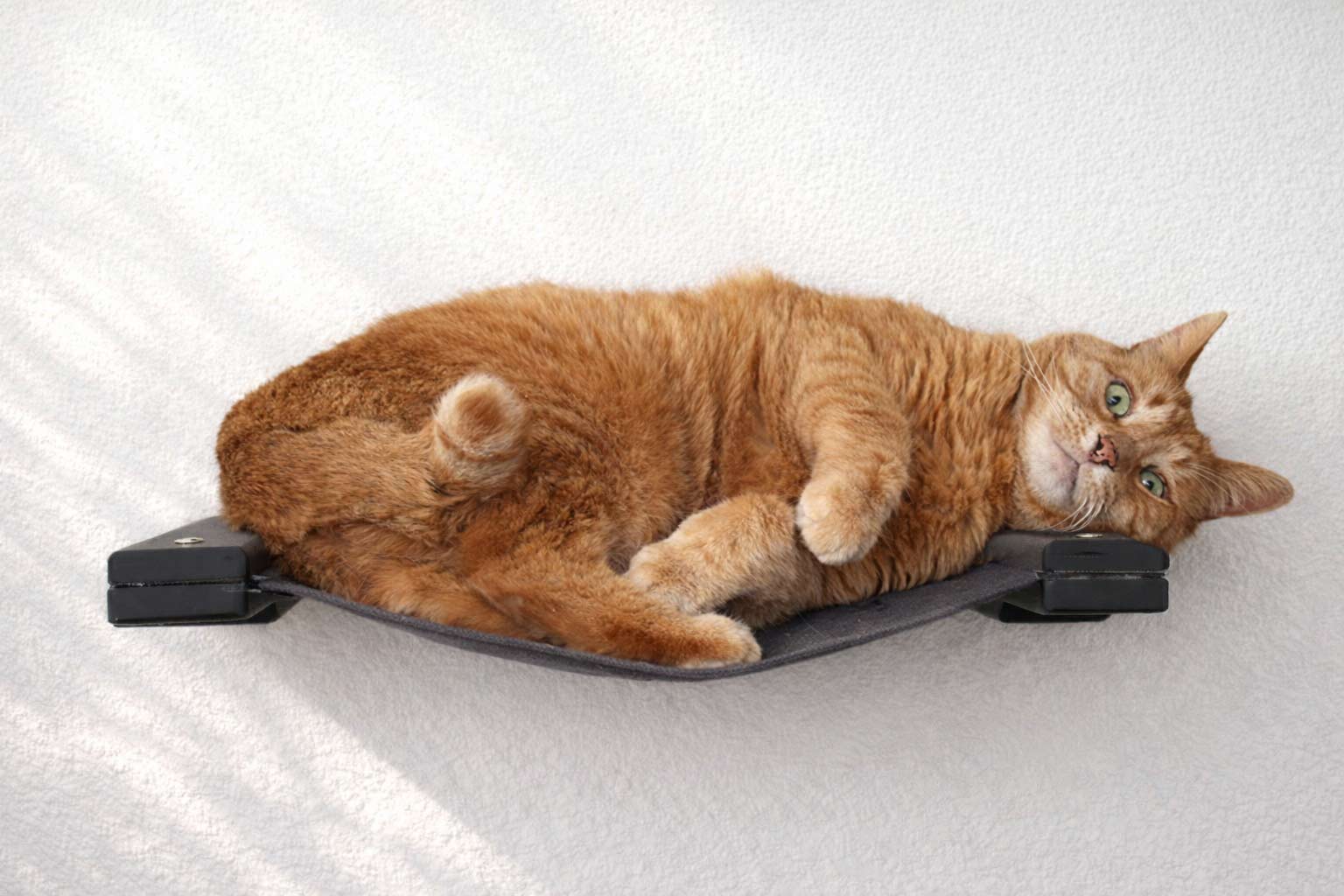 Hanging Cat Bed Hammock