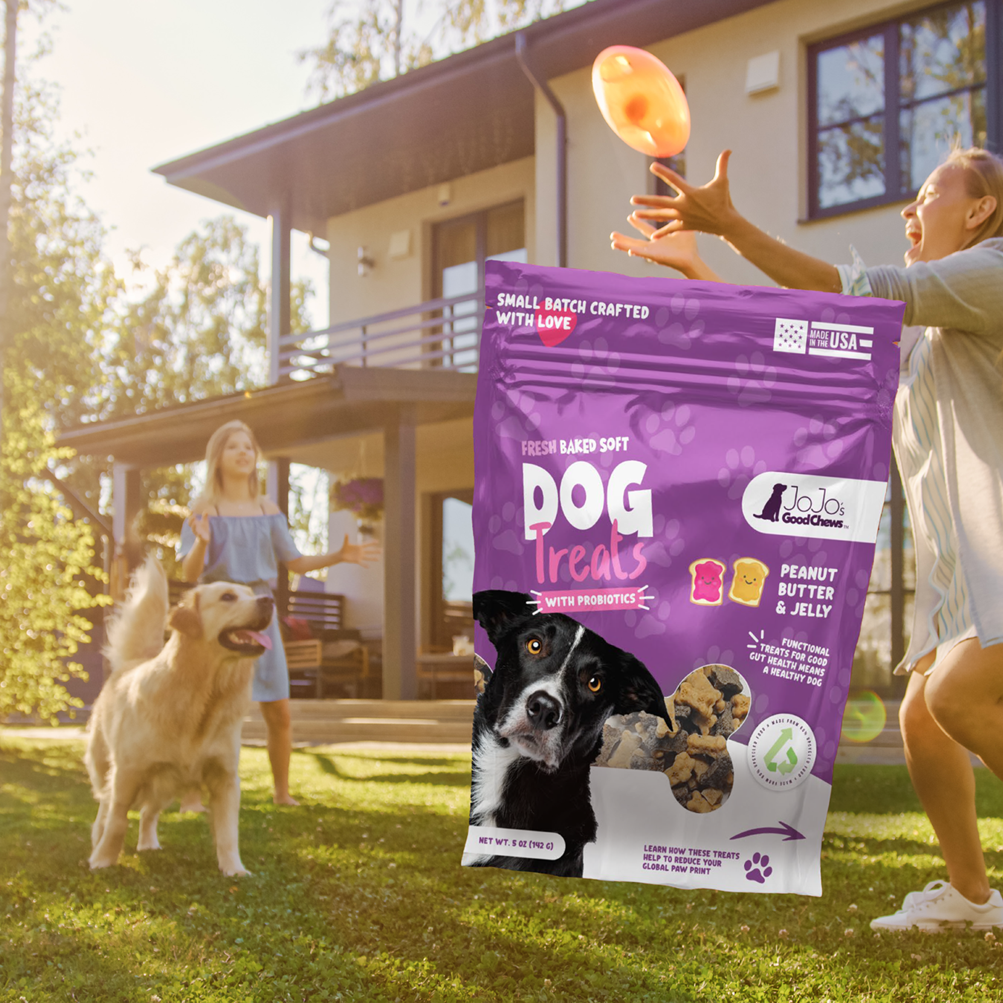 JoJo Good Chews Peanut Butter & Jelly Soft Chew Dog Treats (2-Pack)