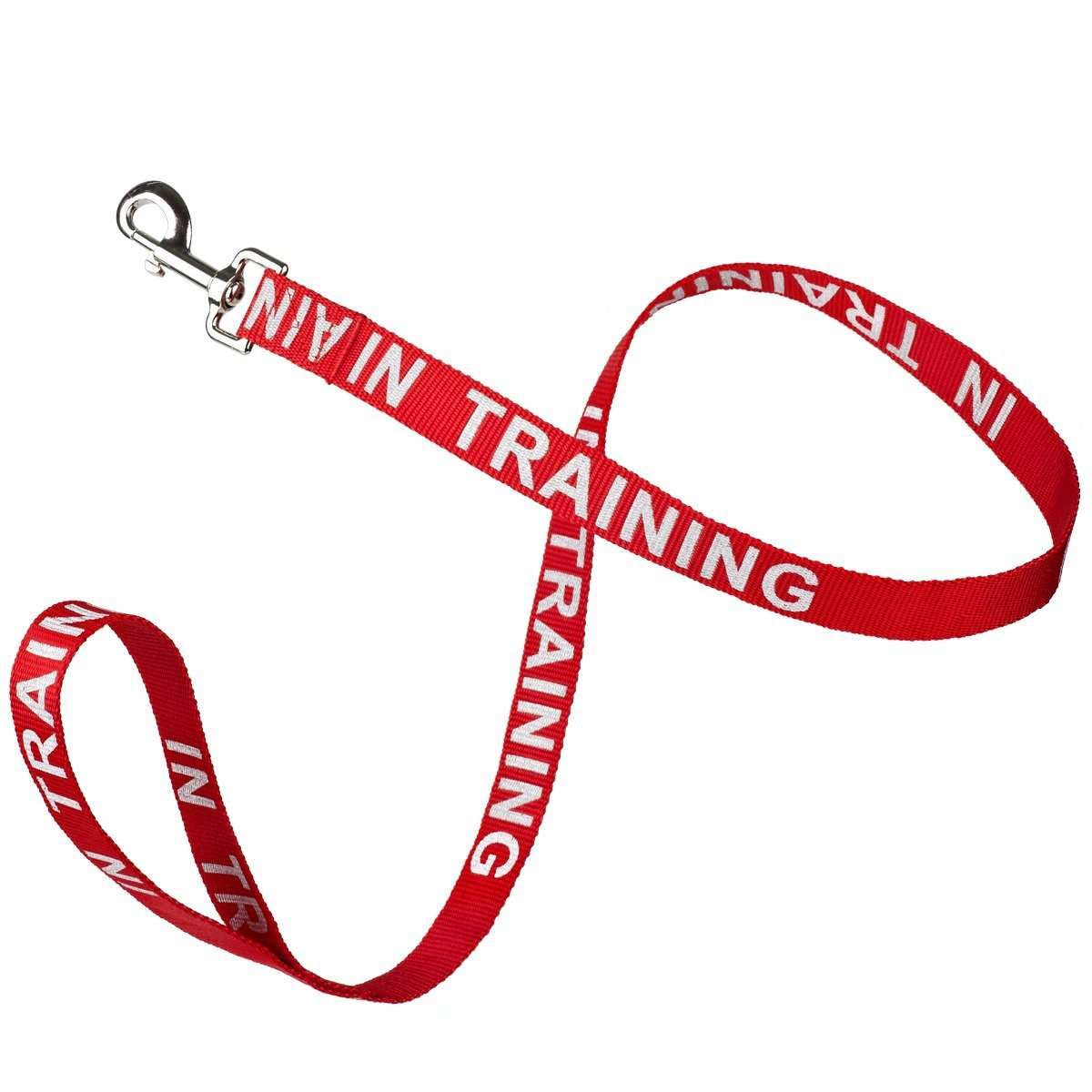 Reflective Nylon Dog Leash