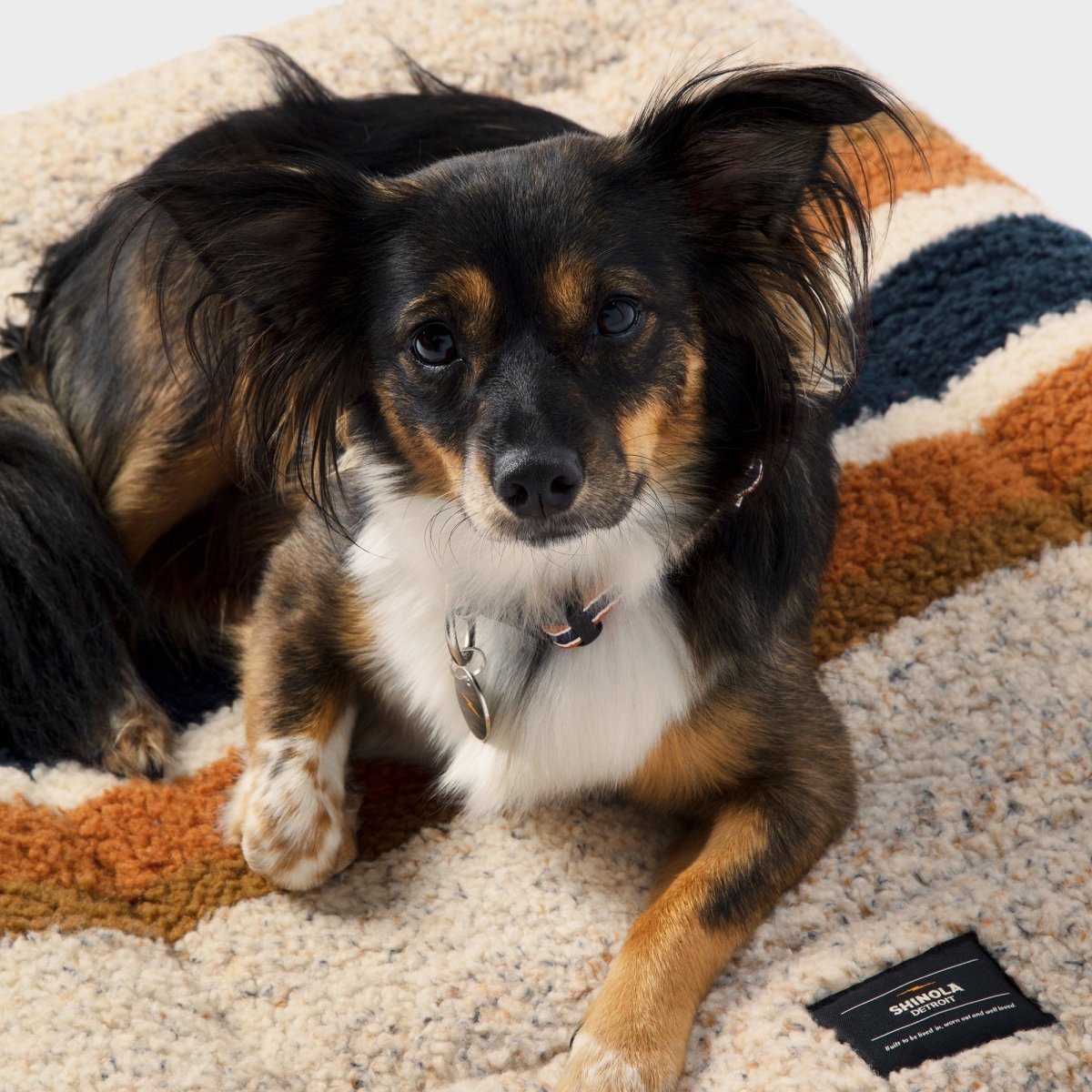 Shinola Brand Stripe Comfort Cushion Berber Dog Bed Oatmeal