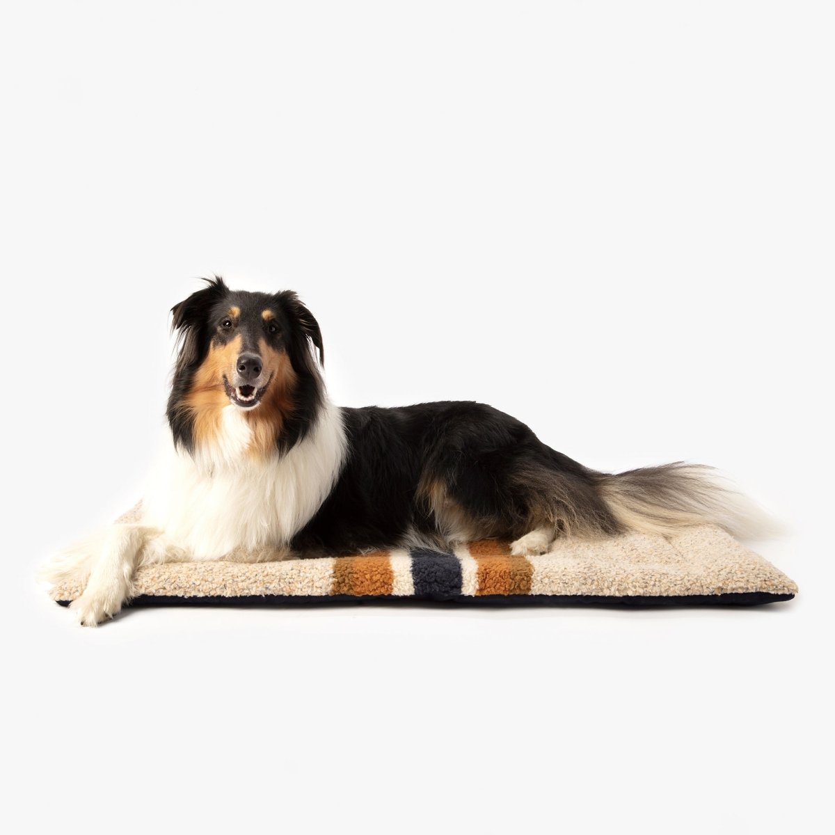 Shinola Brand Stripe Comfort Cushion Berber Dog Bed Oatmeal