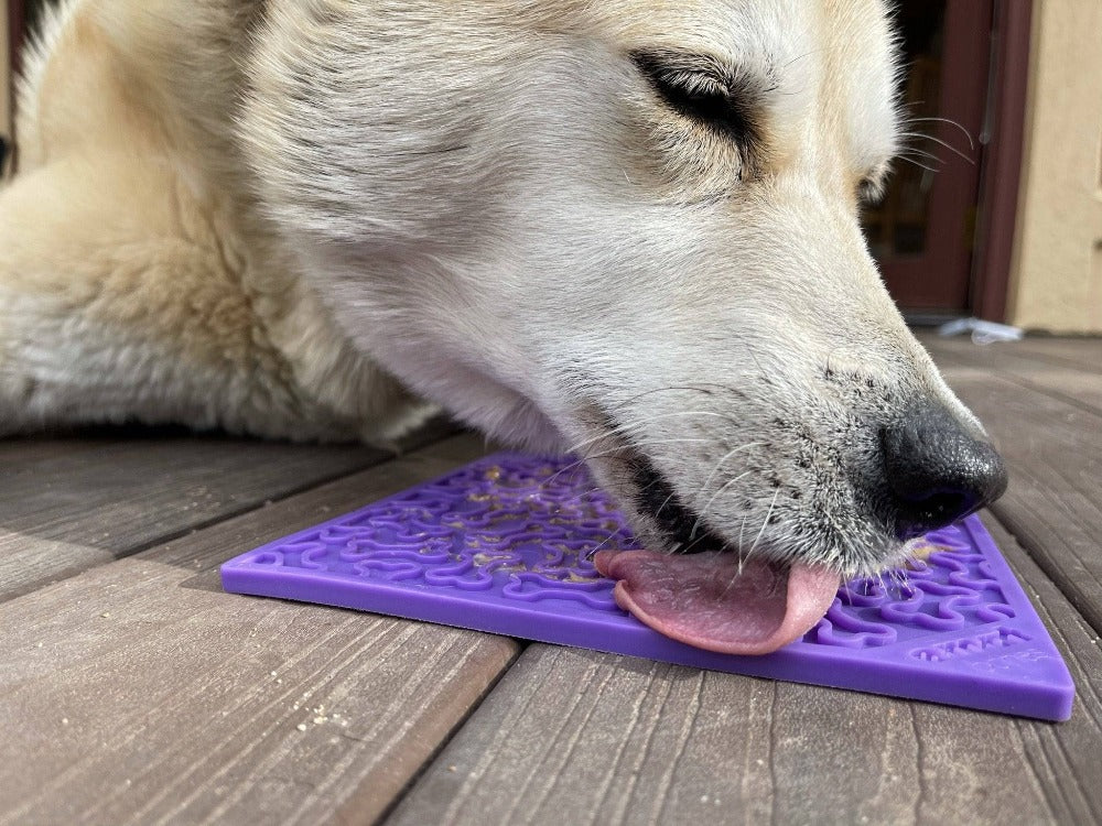 Bones eMat - Enrichment Lick Mat for Dogs and Cats | eMat Enrichment Toy for Anxiety Relief | SodaPup