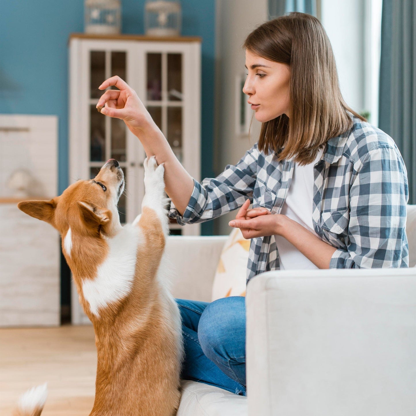 Flea & Tick With Hemp For Dogs 9oz Jar (120 count)