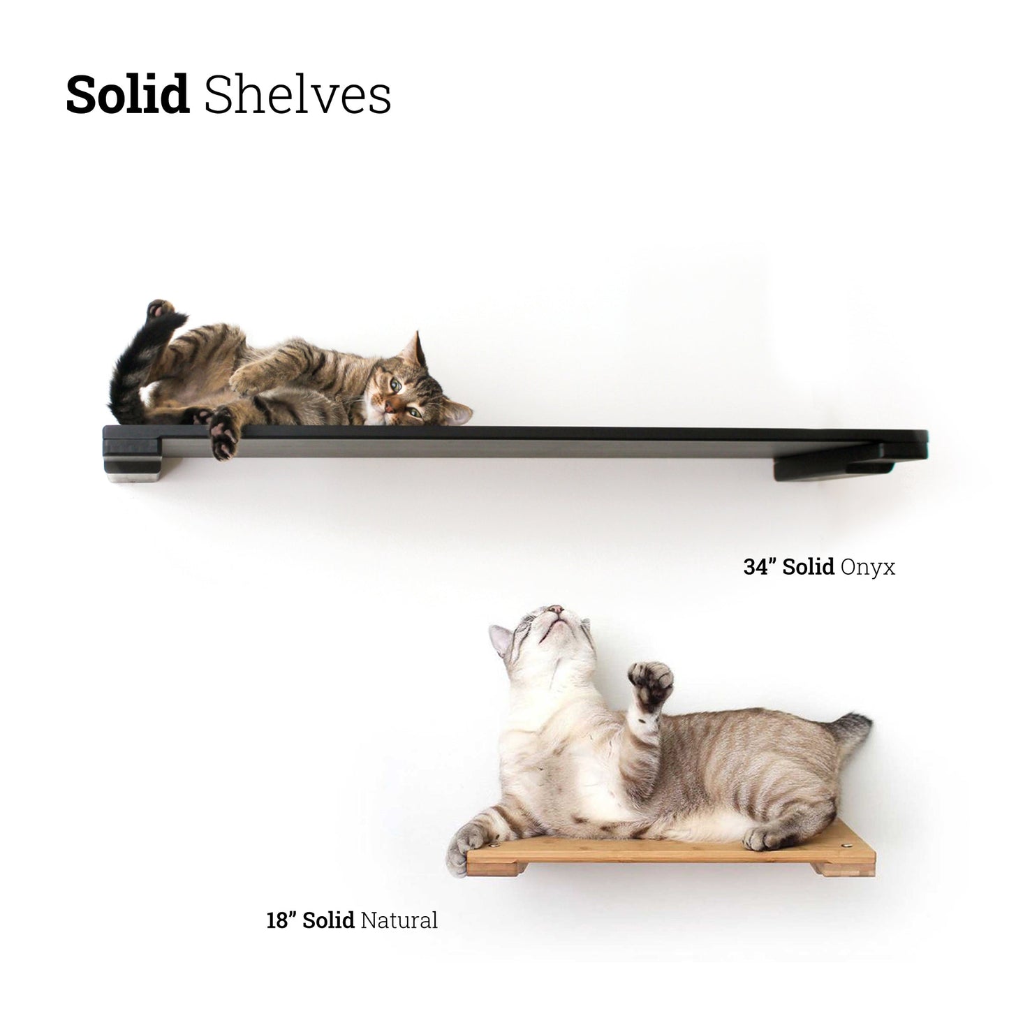 Wall Mounted Cat Shelf