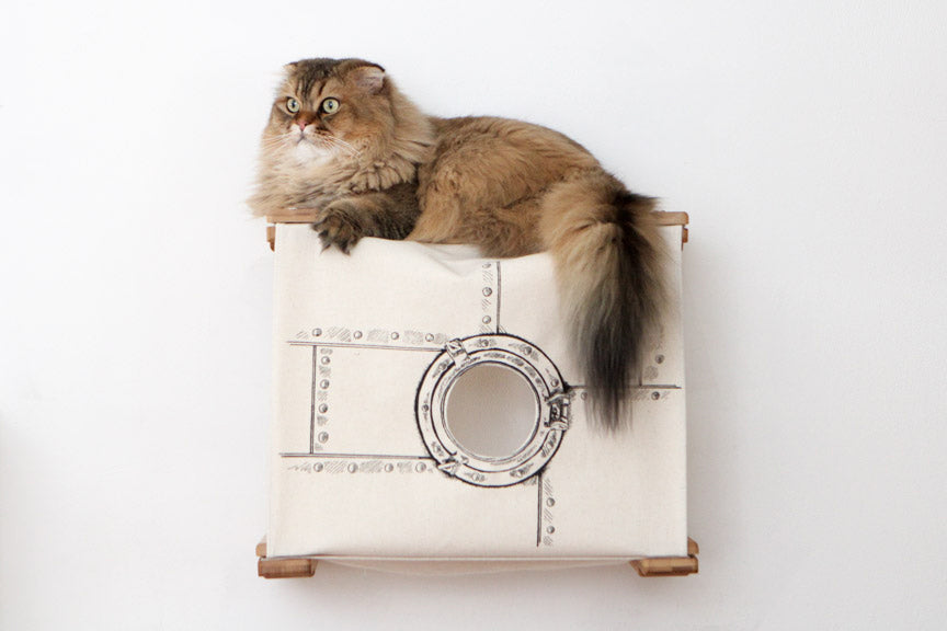Enclosed Cat Bed - Cat Wall Cubby